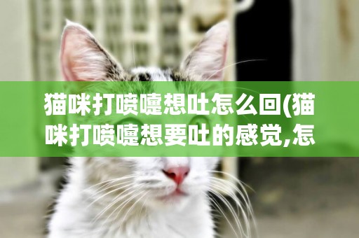 貓咪打噴嚏想吐怎么回(貓咪打噴嚏想要吐的感覺,怎么回事)