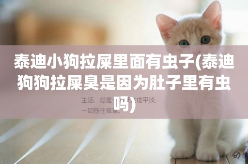 泰迪小狗拉屎里面有蟲子(泰迪狗狗拉屎臭是因為肚子里有蟲嗎)