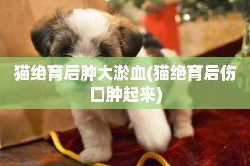 貓絕育后腫大淤血(貓絕育后傷口腫起來)