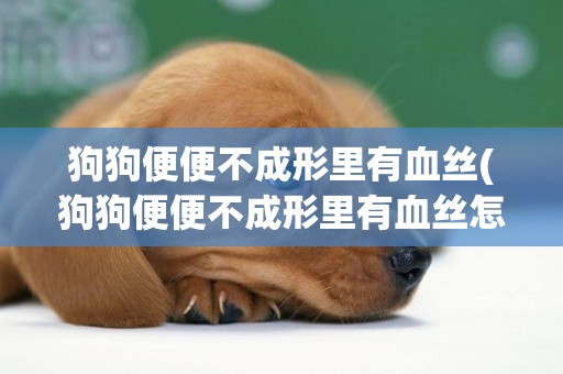 狗狗便便不成形里有血絲(狗狗便便不成形里有血絲怎么辦)