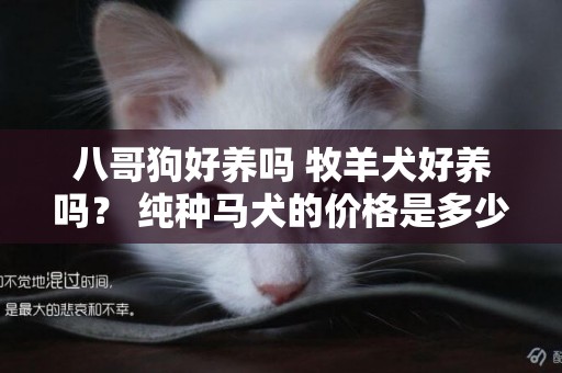 八哥狗好養嗎 牧羊犬好養嗎？ 純種馬犬的價格是多少？ 