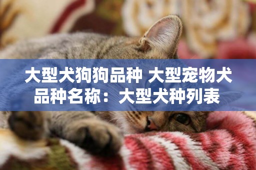 大型犬狗狗品種 大型寵物犬品種名稱：大型犬種列表 