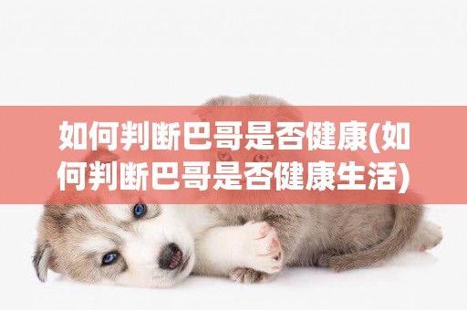 如何判斷巴哥是否健康(如何判斷巴哥是否健康生活)