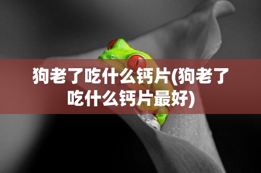 狗老了吃什么鈣片(狗老了吃什么鈣片最好)