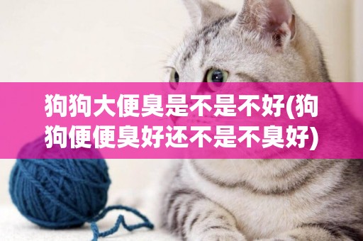 狗狗大便臭是不是不好(狗狗便便臭好還不是不臭好)
