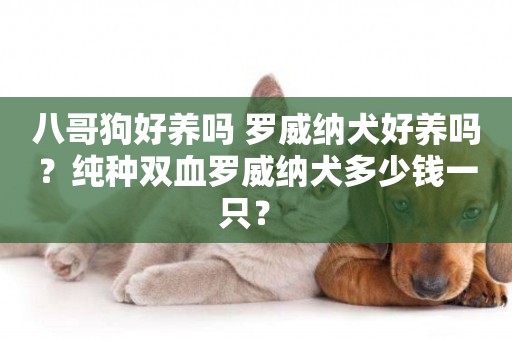 八哥狗好養嗎 羅威納犬好養嗎？純種雙血羅威納犬多少錢一只？ 