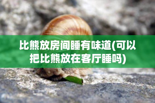 比熊放房間睡有味道(可以把比熊放在客廳睡嗎)