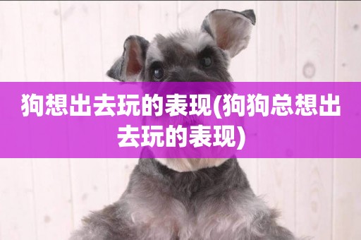 狗想出去玩的表現(狗狗總想出去玩的表現)