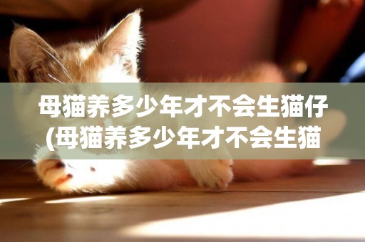 母貓養多少年才不會生貓仔(母貓養多少年才不會生貓仔了)