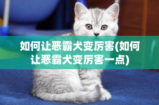 如何讓惡霸犬變厲害(如何讓惡霸犬變厲害一點)