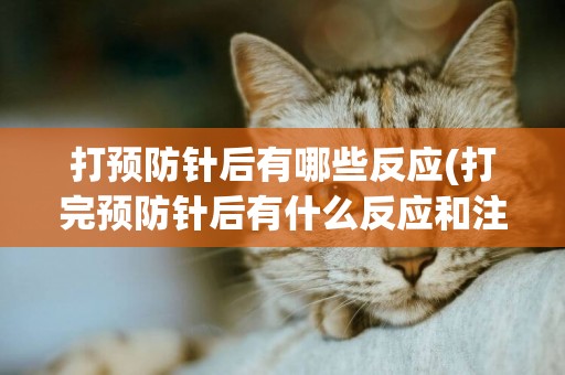 打預防針后有哪些反應(打完預防針后有什么反應和注意事項)