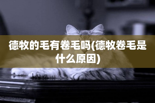 德牧的毛有卷毛嗎(德牧卷毛是什么原因)