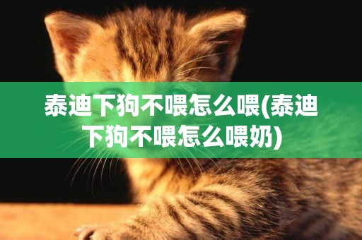 泰迪下狗不喂怎么喂(泰迪下狗不喂怎么喂奶)