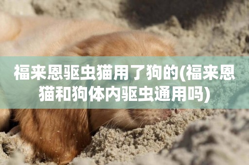 福來恩驅蟲貓用了狗的(福來恩貓和狗體內驅蟲通用嗎)