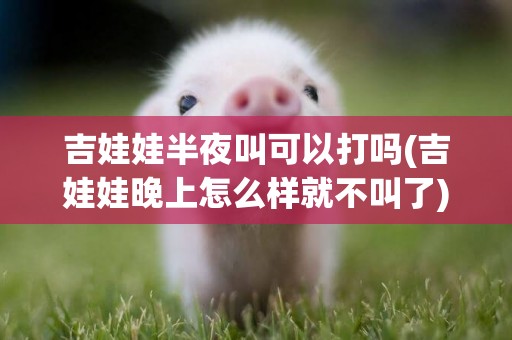 吉娃娃半夜叫可以打嗎(吉娃娃晚上怎么樣就不叫了)