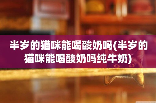 半歲的貓咪能喝酸奶嗎(半歲的貓咪能喝酸奶嗎純牛奶)