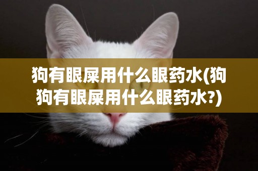 狗有眼屎用什么眼藥水(狗狗有眼屎用什么眼藥水?)