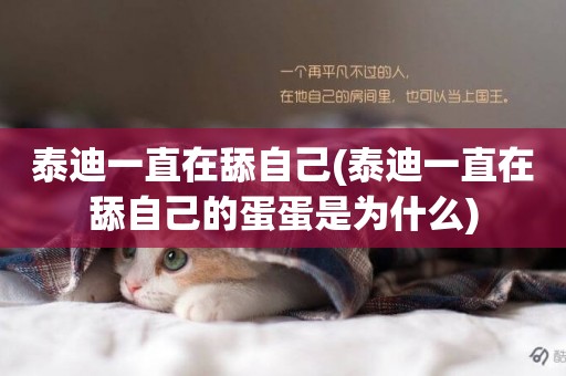 泰迪一直在舔自己(泰迪一直在舔自己的蛋蛋是為什么)
