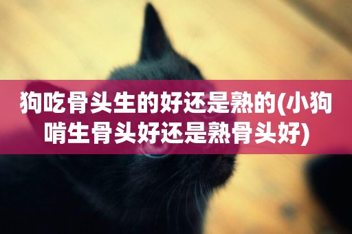 狗吃骨頭生的好還是熟的(小狗啃生骨頭好還是熟骨頭好)