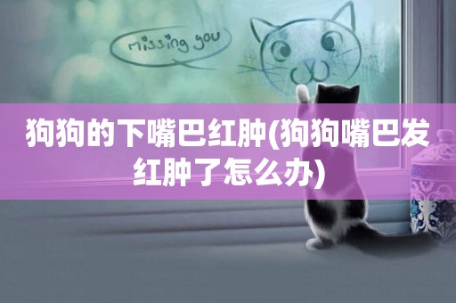狗狗的下嘴巴紅腫(狗狗嘴巴發紅腫了怎么辦)