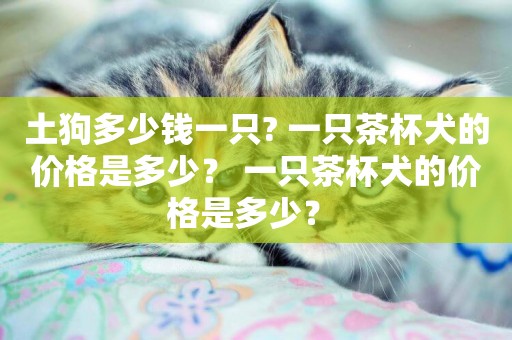 土狗多少錢一只? 一只茶杯犬的價格是多少？ 一只茶杯犬的價格是多少？ 