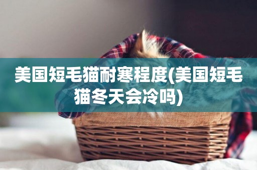 美國短毛貓耐寒程度(美國短毛貓冬天會冷嗎)