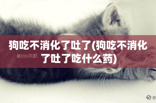 狗吃不消化了吐了(狗吃不消化了吐了吃什么藥)