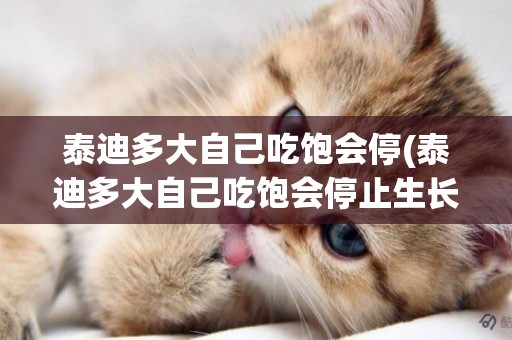 泰迪多大自己吃飽會停(泰迪多大自己吃飽會停止生長)