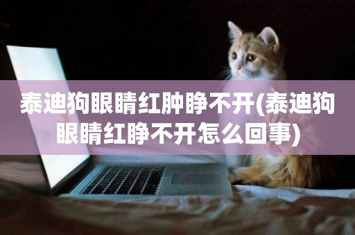 泰迪狗眼睛紅腫睜不開(泰迪狗眼睛紅睜不開怎么回事)
