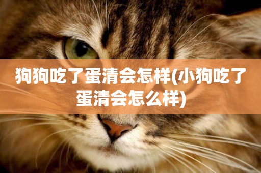狗狗吃了蛋清會怎樣(小狗吃了蛋清會怎么樣)