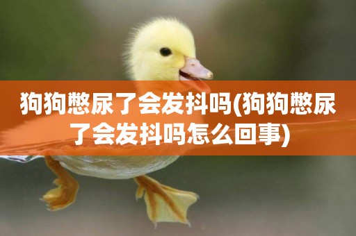 狗狗憋尿了會發抖嗎(狗狗憋尿了會發抖嗎怎么回事)