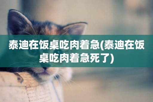 泰迪在飯桌吃肉著急(泰迪在飯桌吃肉著急死了)