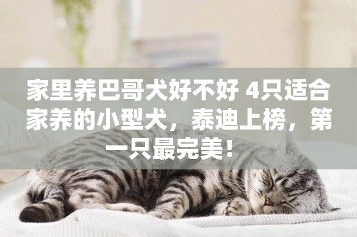 家里養巴哥犬好不好 4只適合家養的小型犬，泰迪上榜，第一只最完美！ 