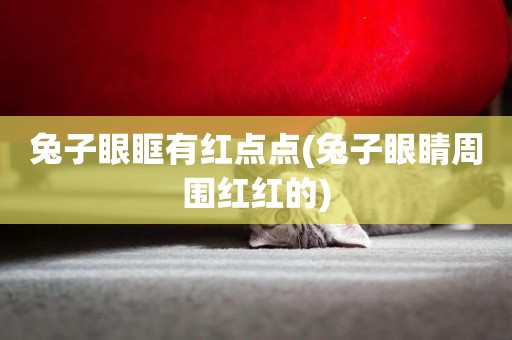 兔子眼眶有紅點點(兔子眼睛周圍紅紅的)