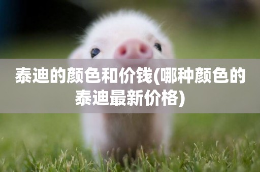 泰迪的顏色和價錢(哪種顏色的泰迪最新價格)