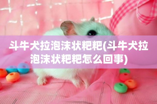 斗牛犬拉泡沫狀粑粑(斗牛犬拉泡沫狀粑粑怎么回事)