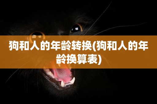 狗和人的年齡轉換(狗和人的年齡換算表)