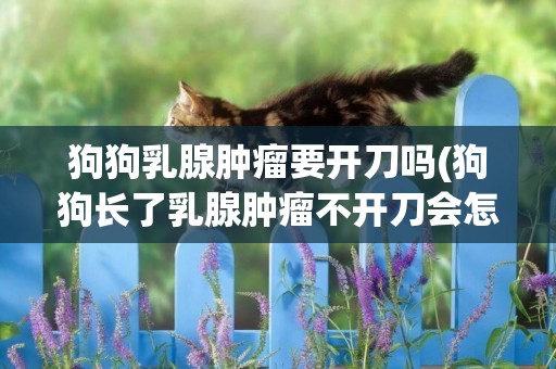 狗狗乳腺腫瘤要開刀嗎(狗狗長了乳腺腫瘤不開刀會怎樣)
