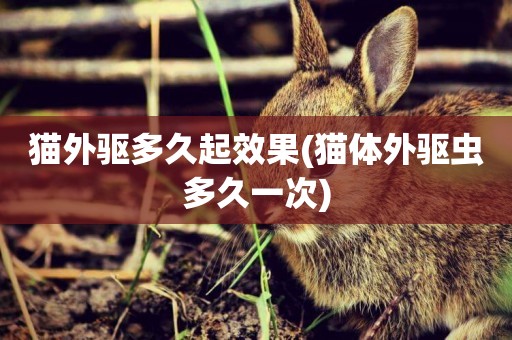 貓外驅多久起效果(貓體外驅蟲多久一次)