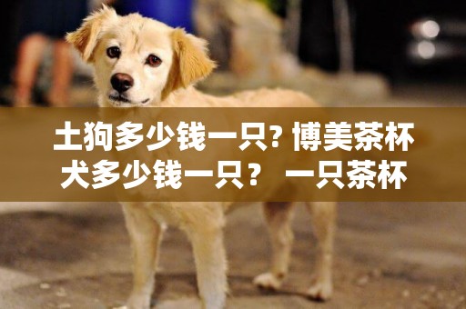 土狗多少錢一只? 博美茶杯犬多少錢一只？ 一只茶杯泰迪多少錢？ 