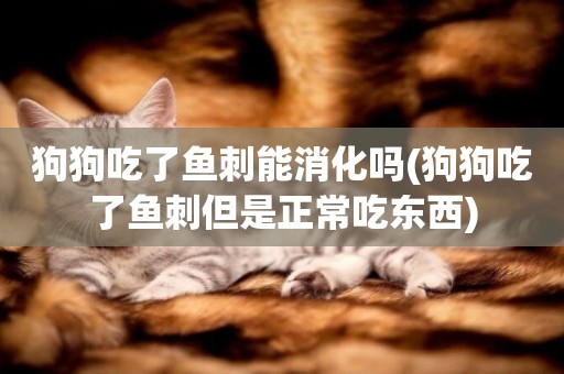 狗狗吃了魚刺能消化嗎(狗狗吃了魚刺但是正常吃東西)