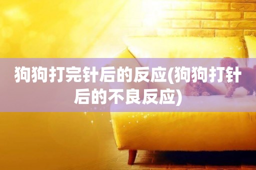狗狗打完針后的反應(狗狗打針后的不良反應)