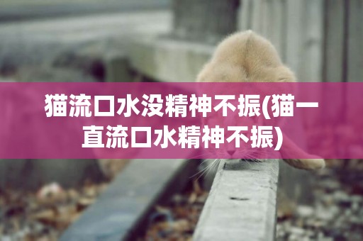 貓流口水沒精神不振(貓一直流口水精神不振)