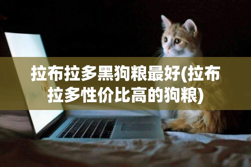 拉布拉多黑狗糧最好(拉布拉多性價比高的狗糧)