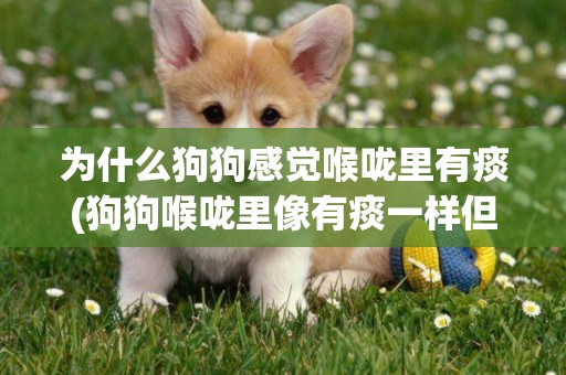 為什么狗狗感覺喉嚨里有痰(狗狗喉嚨里像有痰一樣但其他都正常)