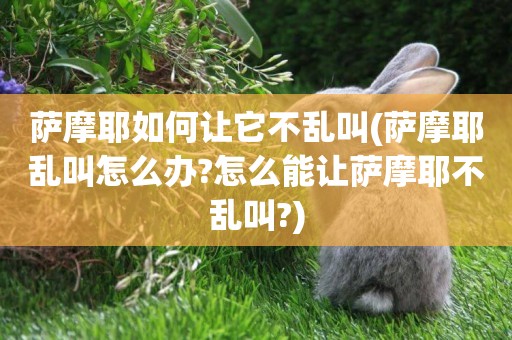薩摩耶如何讓它不亂叫(薩摩耶亂叫怎么辦?怎么能讓薩摩耶不亂叫?)
