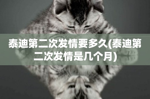 泰迪第二次發情要多久(泰迪第二次發情是幾個月)
