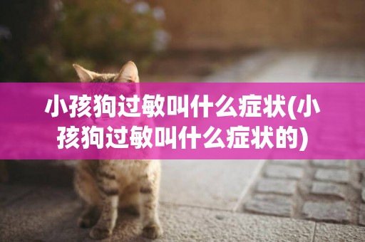 小孩狗過敏叫什么癥狀(小孩狗過敏叫什么癥狀的)