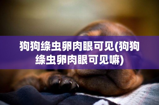 狗狗絳蟲卵肉眼可見(狗狗絳蟲卵肉眼可見嘛)