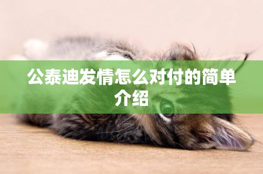 公泰迪發情怎么對付的簡單介紹